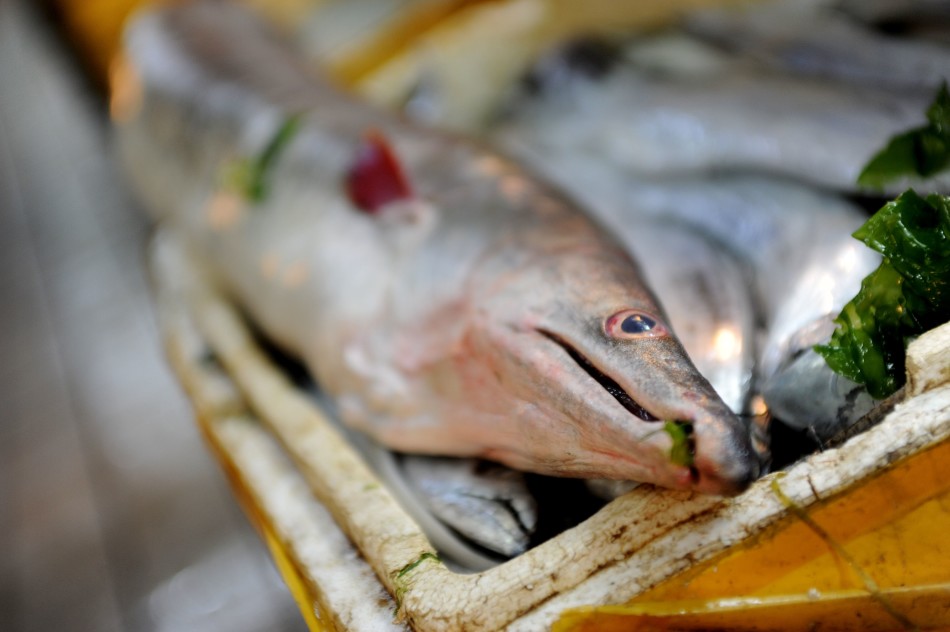 �ൺ���񲶻�����׳���45����ͺ�����