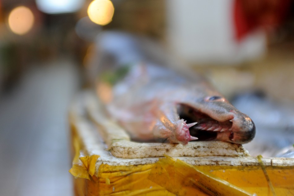 �ൺ���񲶻�����׳���45����ͺ�����