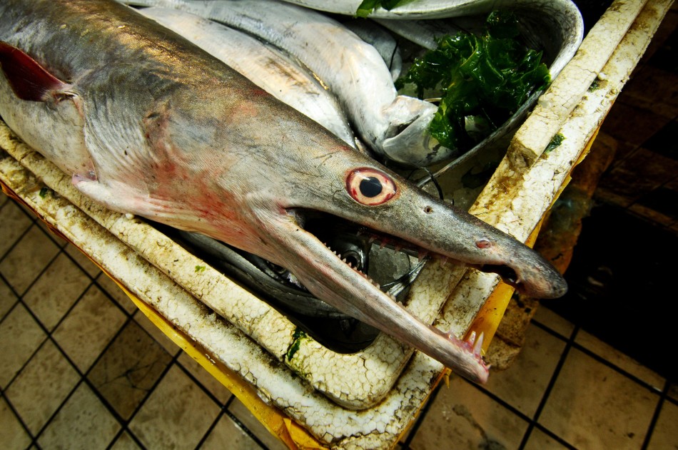 �ൺ���񲶻�����׳���45����ͺ�����