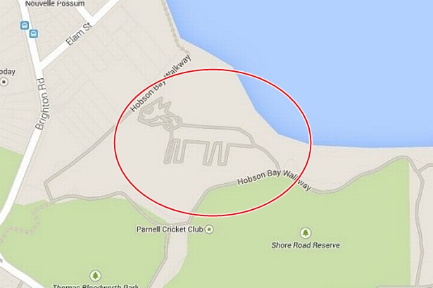 ��ͼ����һֻ�ɲ�����С������ɵ�è