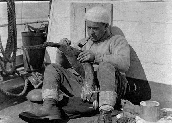 ��ά��(ͼ)��ϣ����д�¿ֲ����֣�������ֱ��������ع⡣