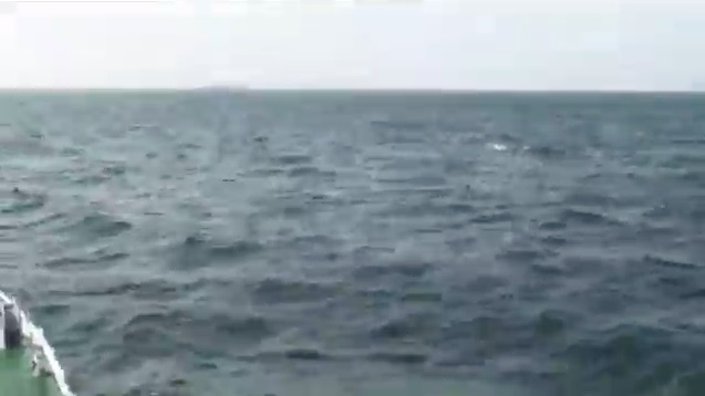 ���ֲ�֪Ұ����ֶɺ���ԭ��