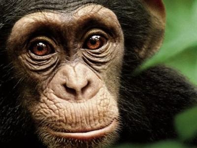 泉火车站经常发生闹鬼事件雇用通灵警察驱鬼