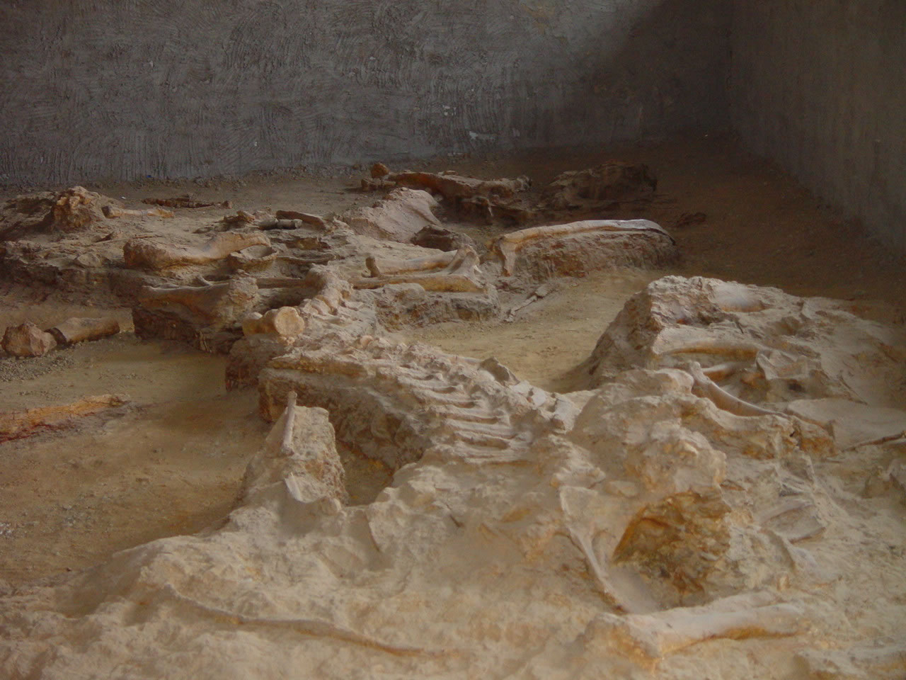 ���䷢�ֵĿ�����ʯ