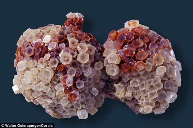 Ү³ѧѧҷֵ20ﴦ1ǰ΢