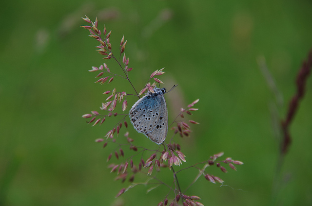 ̽��Ϊ���еĺ�����ģ�ⷢ�����ϵ�����