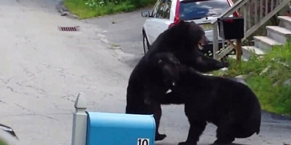 ��������������ͷ������ھ��������