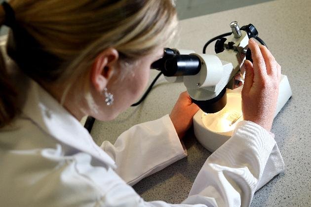 ������ѧ�����ȫ���׸�������θ�� ������֢������������о�