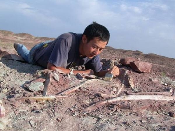 оԱ½׼٪ϵزвɼʯ