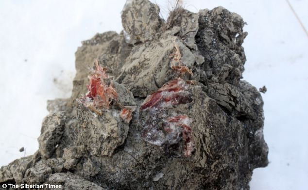 ����3.9����ǰ��������