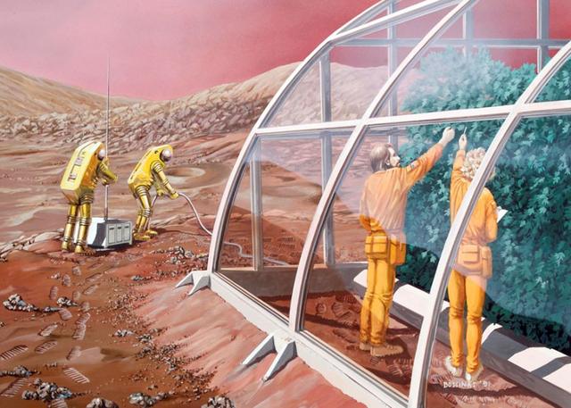 ���ǻ��ؽ������Ա�ܷ������Ը������⣬������ʳ������Ϊ��Ҫ