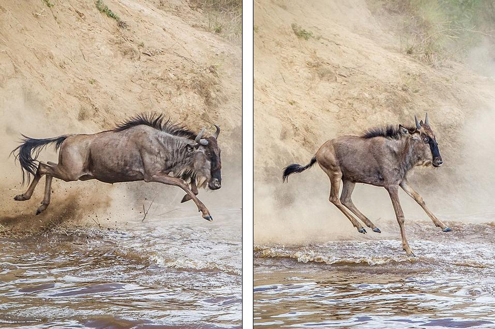 Ϊ�˴�̹ɣ���ǵ����׸ǵ�ƽԭǰ�������ǵ���������������Ⱥ���봩�������ӡ�