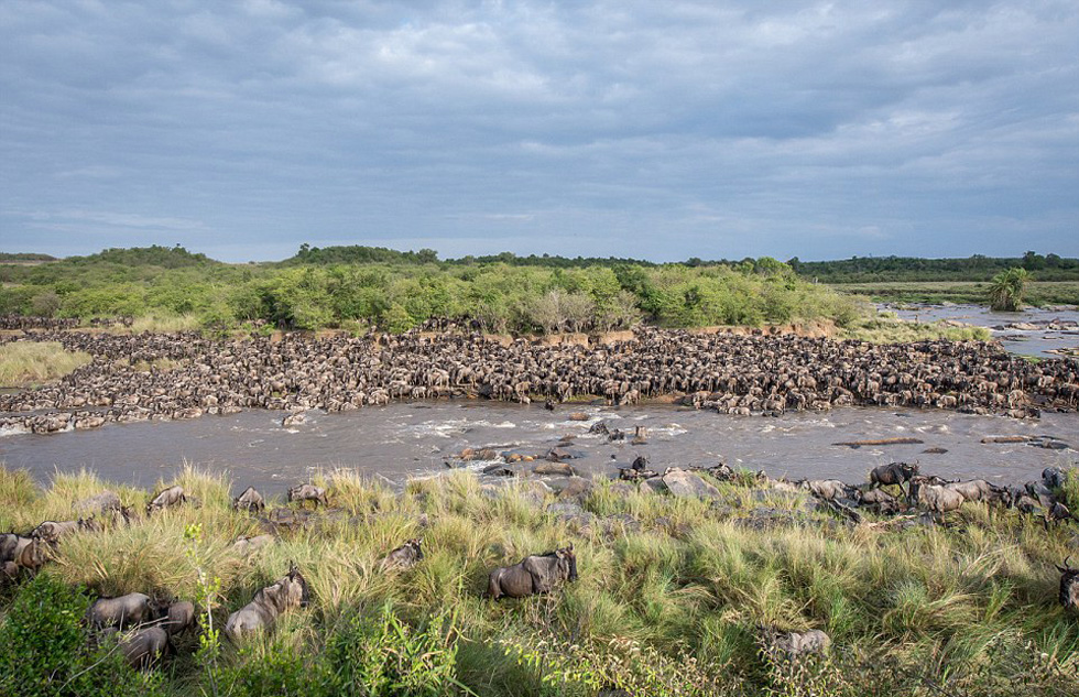 �ڳ���2���½�3000�����г��У���2��ֻ����׼���ɹ������ӡ�