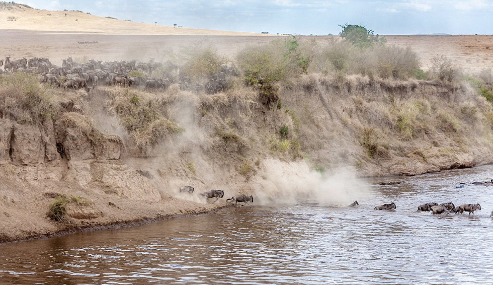 ��2��ֻ����Ⱥ�������ӡ�