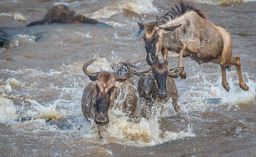 ÿ�꣬�����������׸ǵ�ƽԭ������10���£���������������2���¡�