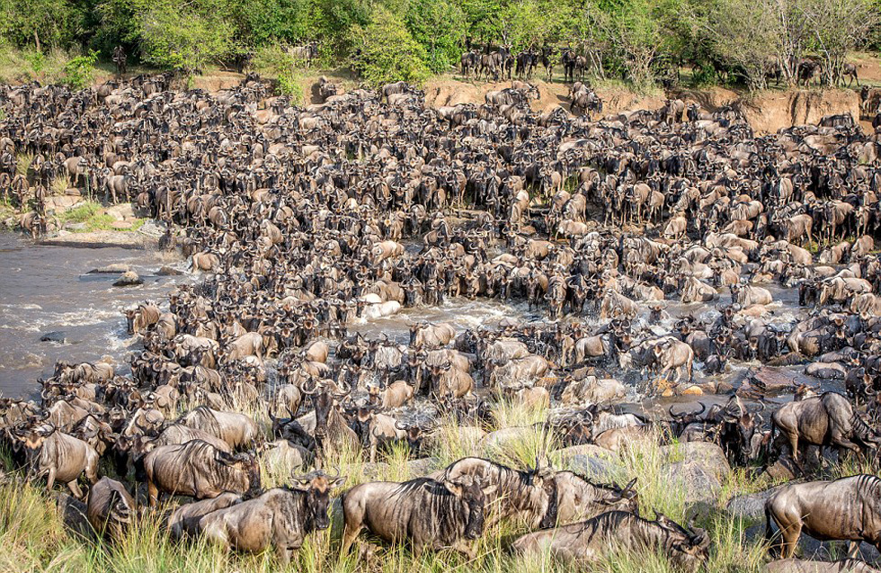 ÿ�ξ�����Ǩ��Ĳп���̭�󣬽����������ἱ���½���