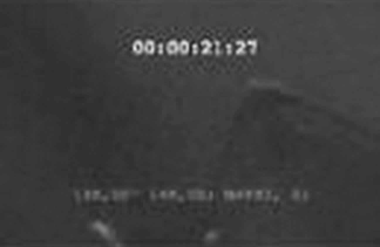 有关南极30米神秘巨人Ningen的一些图片