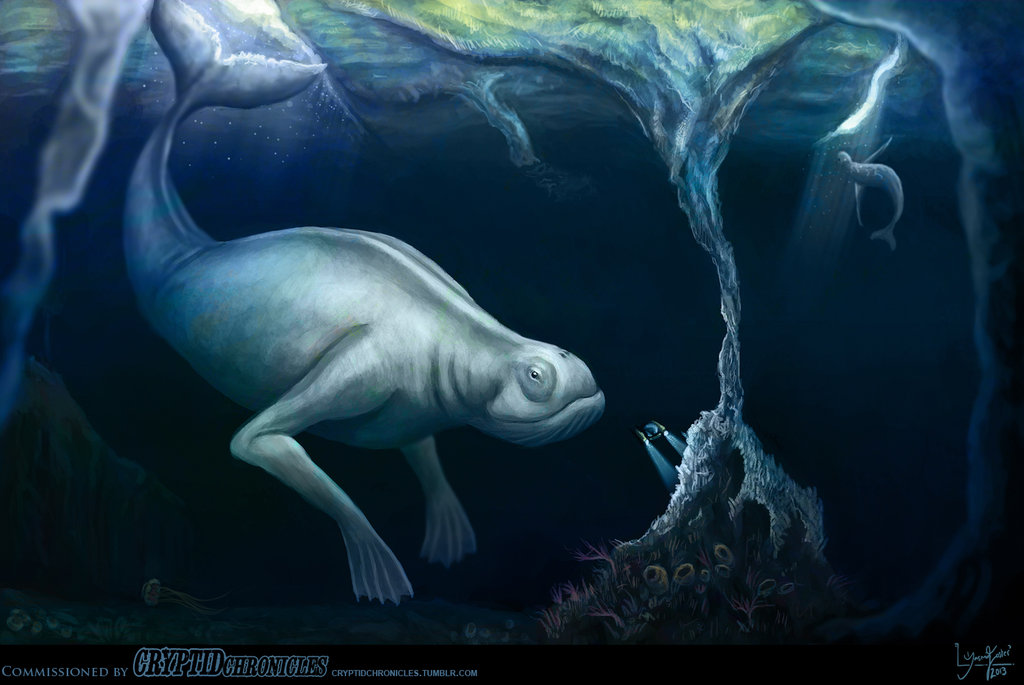 有关南极30米神秘巨人Ningen的一些图片