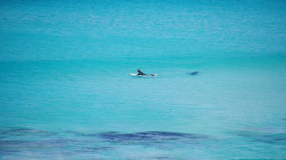 澳洲大白鲨跟踪冲浪者惊悚照曝光