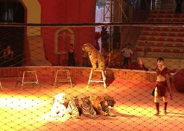 ��������������Ϸ���ϻ�ҧ�����¼���ͼΪ�ڵ���Ϸ�ŵ��ϻ����ݡ�