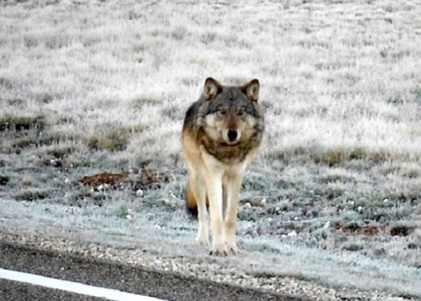 οǰڴϿȹҹ԰ڣĵڵؾ70Ļǡ