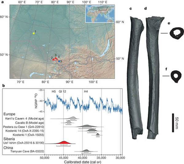 1: Ust��-Ishim; 2: Chagyrskaya ��; 3: Okladnikov��; 4: �������� ��; 5: Kara-Bom��b�����������ִ�