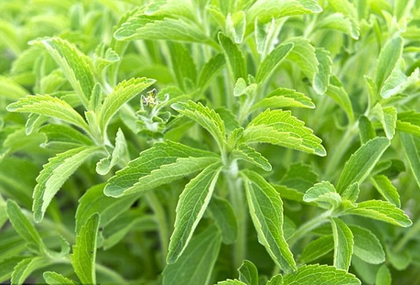 ���Ҷ��ȱ�һ�㷽�Ǹ�200��300��