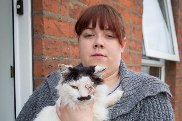 ˹���ޱ�ס���˵�èè����ʹ����