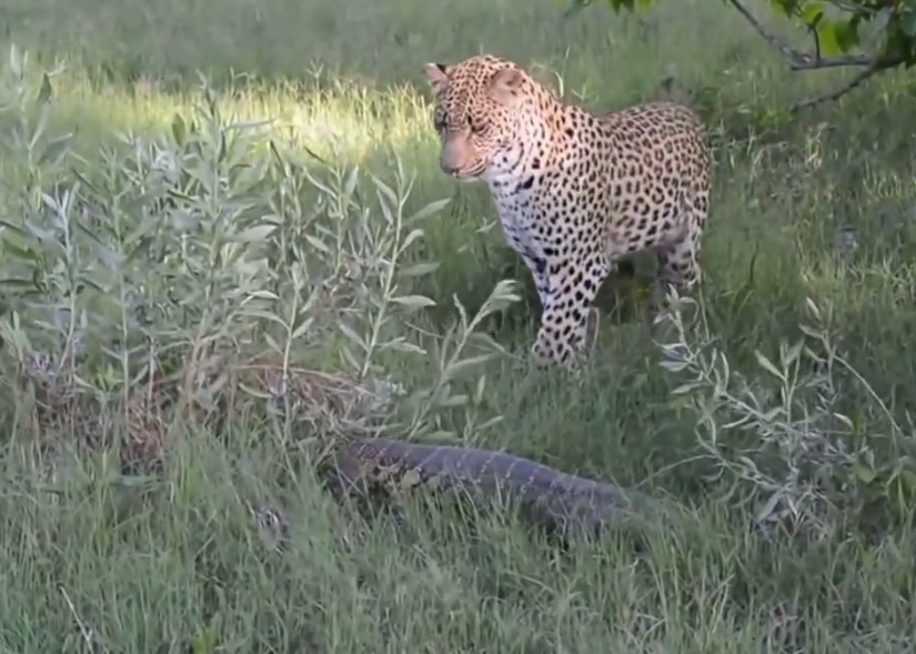 ���ޱ�����������������ȥ��ʼ���޷��ӽ���