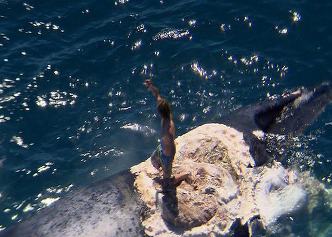 威廉斯站在鲸尸上挥手