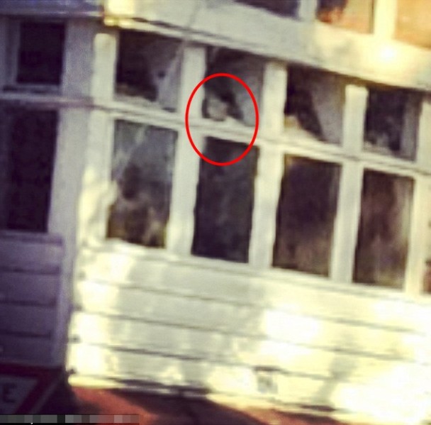 迪安拍到一个疑似男童(红圈)站在窗边往外望