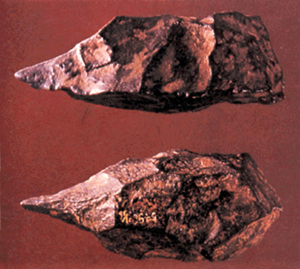 丁村发现的石器