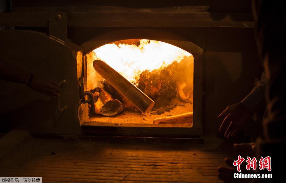 ����ʱ��2014��11��2�գ�ӡ���µ��ӡ�Ȼ���������Ա�ڹ��Ҷ���԰���ٷǷ�Ұ��������Ʒ�����ƶ�����Ʒ�Ƿ�ó�ס�