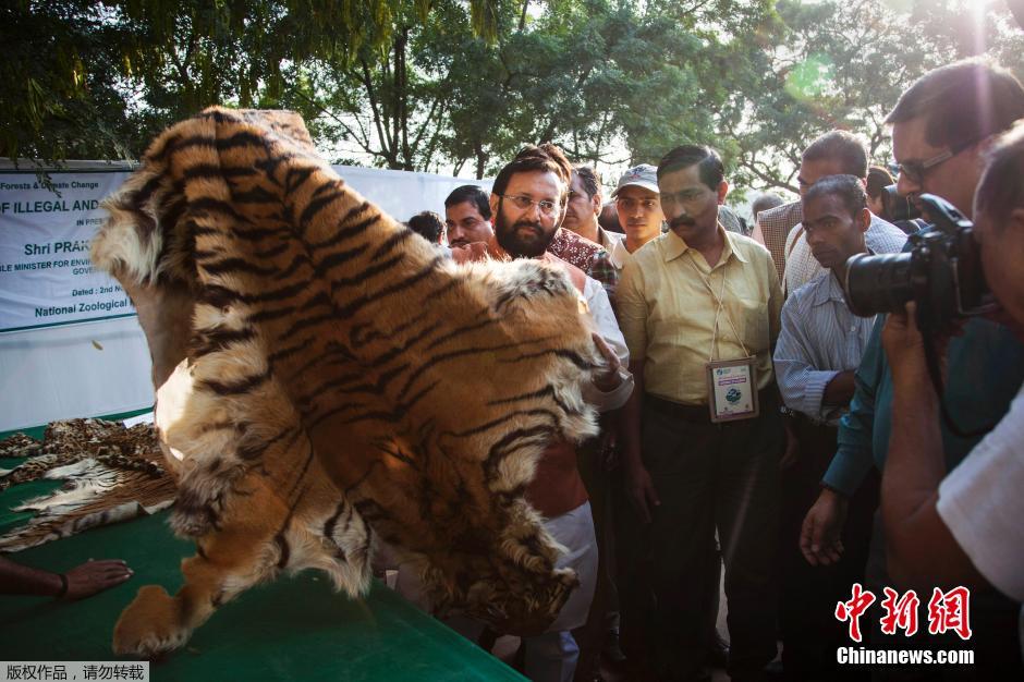 ����ʱ��2014��11��2�գ�ӡ���µ��ӡ�Ȼ���������Ա�ڹ��Ҷ���԰���ٷǷ�Ұ��������Ʒ�����ƶ�����Ʒ�Ƿ�ó�ס�