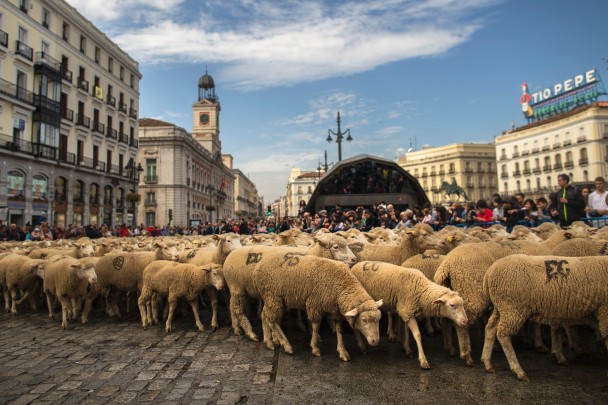 ȺֹĿǒIϵķǨ㴫ͳȨ