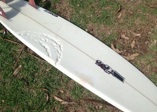 克拉克的滑浪板印有鲨鱼牙印。