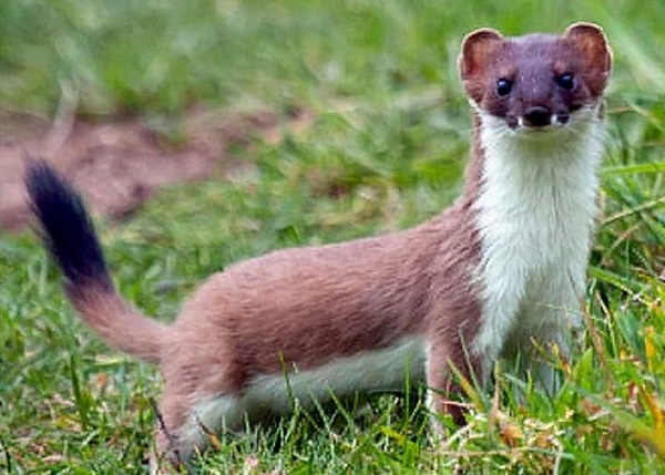 ר����Ϊȫ��ů���ı亣�����������(ͼ)�ȶ�������ײ��Ժ���Ÿ��