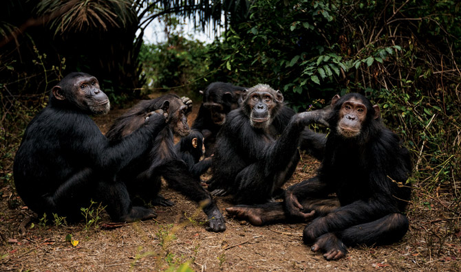 ʷ�����ǸԱ����ϵĺ����ɣ�Ҳ��S�����й��ϵ�Ů��ҳ�����������ͬ�ù������ܵ���ëʱ�⡣