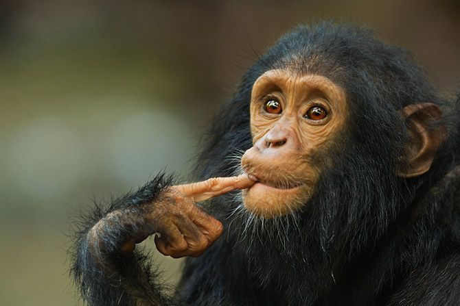 ��С���项������ֺ��ʺ�����������Ƭ��������ʱ���µģ����Ǹ���С�ֵ�Ƥ�ĺ��ӣ����ڸ��������������ȥ����Ҫ������һ����ˣ��