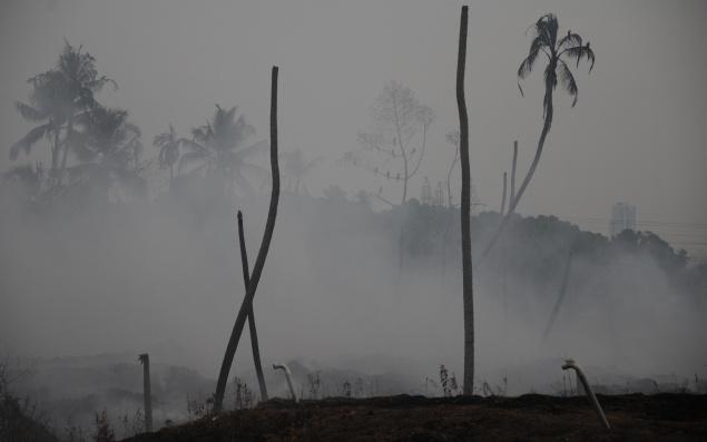 ӡ�ȵĿ�����Ⱦ���������