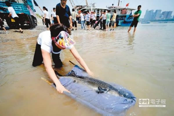 �����ڳ����˲��η����л���