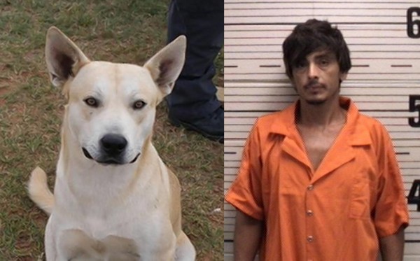 �������������ݹ������������ס��ٱ���������