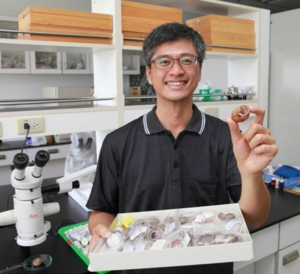 ����ţ���ڡ�������15��������20����̨��ԭ����ţ