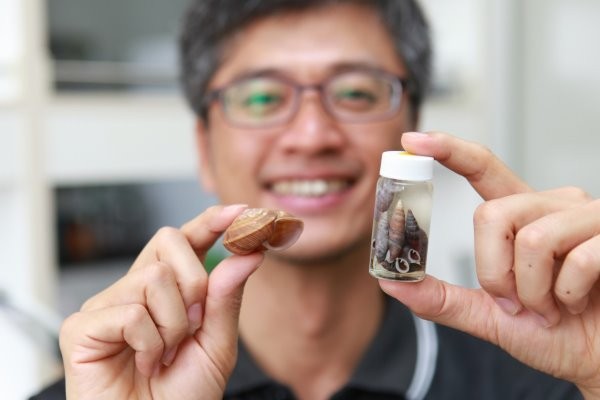 ����ţ���ڡ�������15��������20����̨��ԭ����ţ