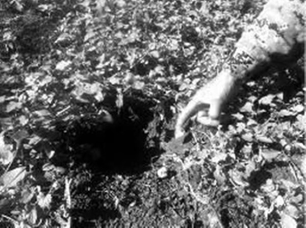 Ұ���г�ׯ�ڵĺۼ�