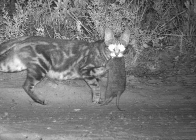 ����Ұè��ɱ2���ڶ�����в����