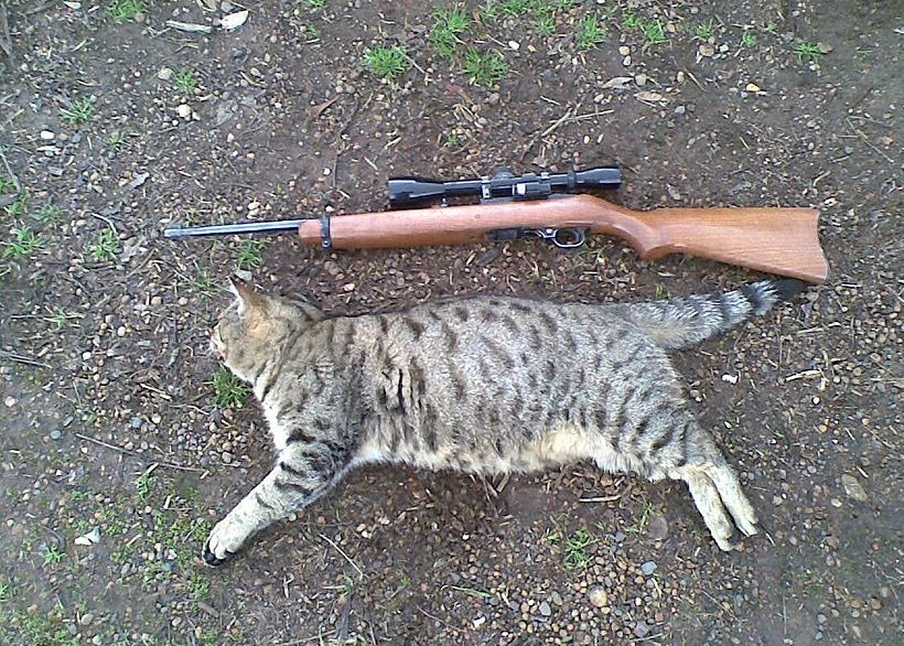 ���޵��ּƻ���δ��10�꣬չ����ɱҰè�ж���