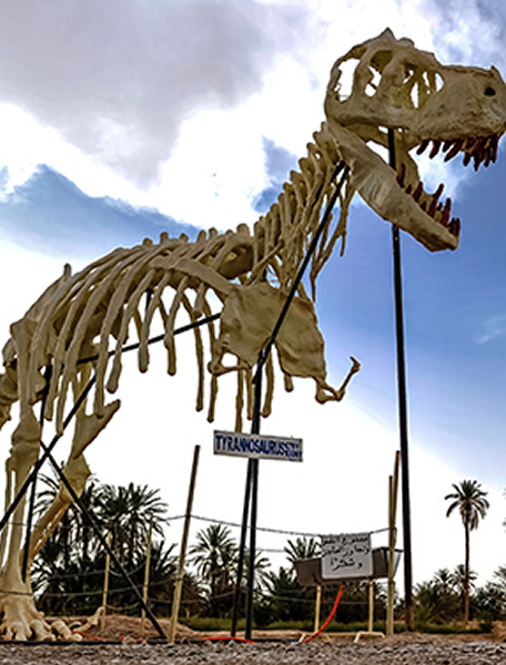 在摩洛哥东部偏远沙漠地区的大面积棕榈树林中,绿洲城镇的居民们照管着一处即将消失的稀世珍宝。地质学家和考古学家将该地区称为“全球最大的露天化石博物馆”。图为在摩洛