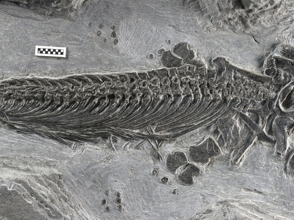 ���й����շ����׸�����������ʯ ������2.48����ǰ��������ʱ��