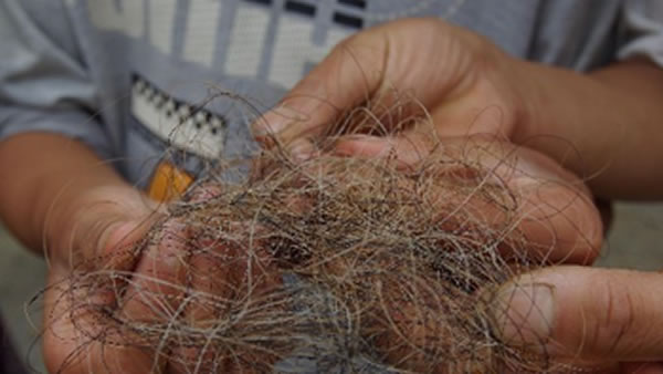 �ܹ��˽����ڿ����е�ȷ�����������ɫ��ë������������ν���Щ��ë����������м��������շ��־�Ϊ�˷���